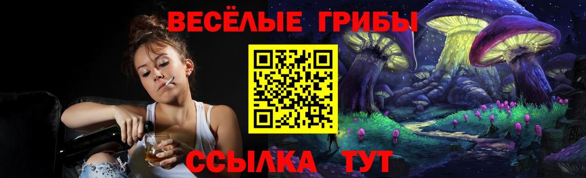 Кизляр  Галлюциногенные грибы Psilocybe  Вход с VPN 
